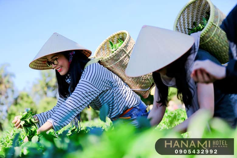 Sản phẩm du lịch là gì ? 